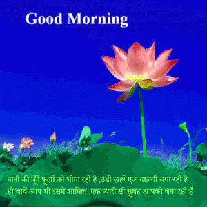 Flower Good morning Images For Her In Hindi