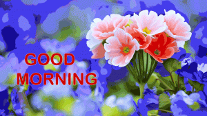 With Flower Good Morning Images Download For Whatsaap