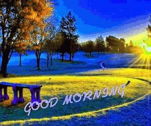 Good Morning Photo Pictures Download For WHATSAAP