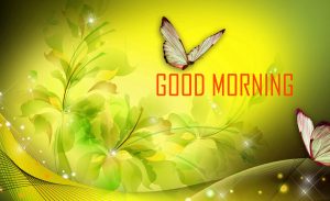 Flower Good Morning Photo Pictures Download 