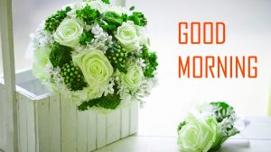 Flower Good Morning Photo Pictures Wallpaper Download 