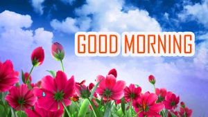 Flower Good Morning Images Download 