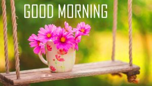 Flower Good Morning Photo Pics Download 