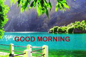 Have A Nice Day Good Morning Wallpaper