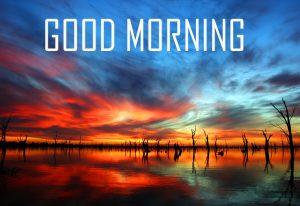 Best New Amazing Good Morning Photo Pictures Download
