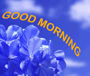 Good Morning Pictures For Whatsaap Free HD Download