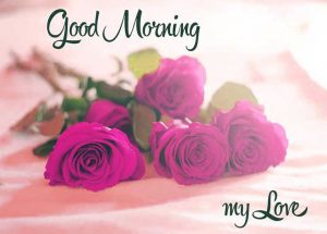 Good Morning 3D Photos With Flower