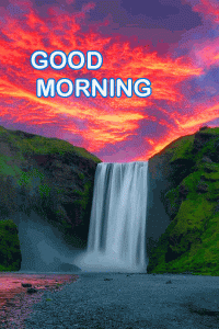 Good Morning Have a Nice Day Photo Pictures