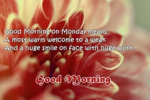 Good Morning Monday Images Photo Pictures Free Download