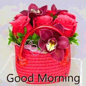 Good Morning Wishes Images Photo With Flower