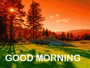 Have a Nice Day Good Morning pictures Download