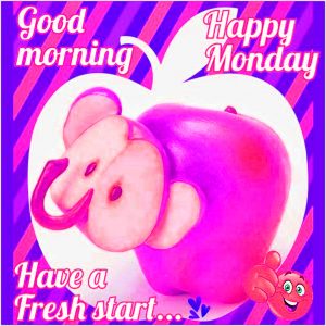 Good Morning Monday Images Pictures Download