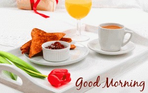 Happy Morning Good Morning Photo Download For Her