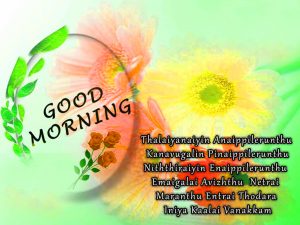 Tamil Quotes Good Morning Images Wallpaper HD Download 