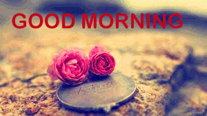 Beautiful Gud Mrng Photo Pictures With Flower