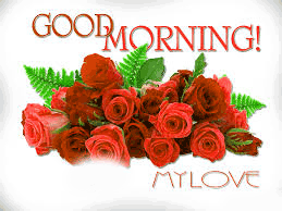 Good Morning Images Photo Wallpaper For Her Download With Red Rose