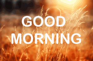 Free Good Morning Photo pics For Whatsaap