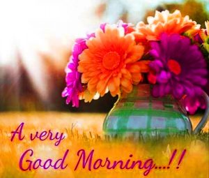 Good Morning Images Stickers For Whatsapp Free Download