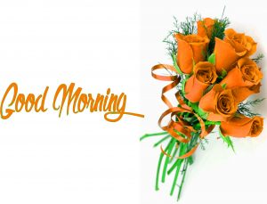 Good Morning Images Photo Pics With Flower