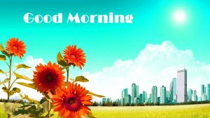 Good Morning Photo Pics With Flower Download