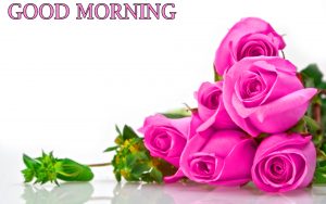 Good Morning Photo Pictures With Flower Red Rose