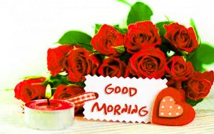 Good Morning Images Photo Pictures With Red Rose