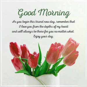 Unique Flower Good Morning Images Photo Download