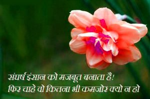 Hindi Life Whatsapp Profile DP Images Pics With Flower