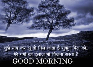Hindi Quotes Good Morning Images Wallpaper HD Download