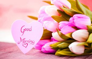 Good Morning Images Wallpaper For Her Free Download With Flower