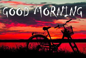Good Morning Status Images Photo Pictures Download