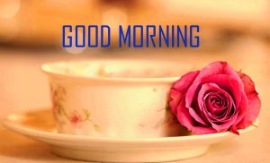 Good Morning Tea Cup Images Photo Pics Download 