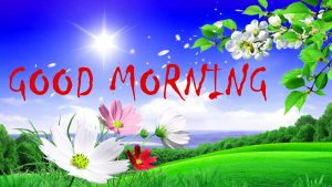 Good Morning Status Images Pictures Download