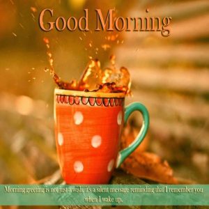 Stickers Good Morning Photo Pics Download