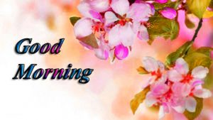 Free HD Good Morning Images Photo pics Download