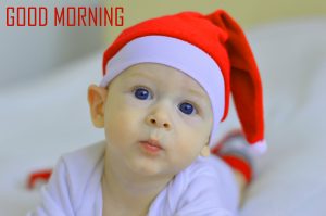 Free Best Happy Good Morning Photo Pictures Download 
