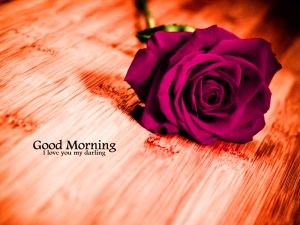 Free Best Happy Good Morning Photo With Red Rose 