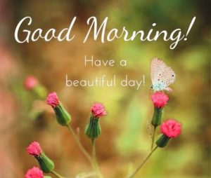 Free Best Happy Good Morning Photo HD Download 