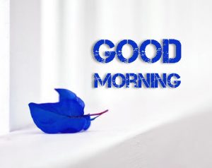 Free Good Morning Images Photo Pics Download