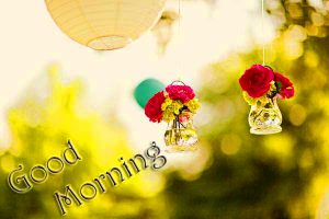Free Best Happy Good Morning Photo Pics Download 