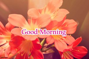 Good Morning Images Pic Photo With Flower