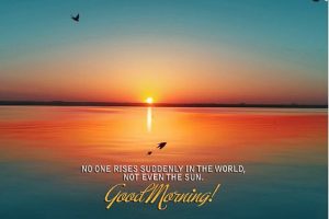 Sunshine Good Morning Images Photo Pictures Download