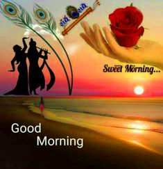 Stickers Good Morning Images With Red Rose