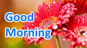  Her Good Morning Images Wallpaper HD Download
