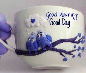 Gud Morning Pictures Photo Download