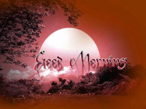 Free Best Happy Good Morning Photo Download 