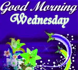 Whatsaap & Facebook Good Morning Images Photo Pics Download 