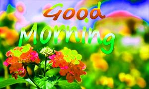 HD Good Morning Images Photo Pictures Download