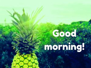 Whatsaap & Facebook Good Morning Images Photo Pictures Download 