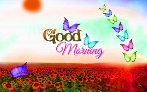 HD Good Morning Images Photo Pictures Download